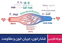 فشار خون ، جریان خون و مقاومت