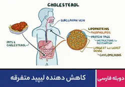 کاهش دهنده لیپید متفرقه