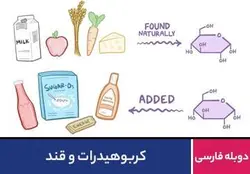 کربوهیدرات و قند