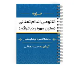 دانلود جزوه آناتومی اندام تحتانی pdf | پزشک آموز با بیش از 2000 جزوه آموزشی