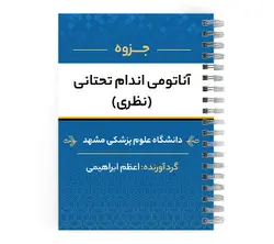 جزوه آناتومی اندام تحتانی pdf | پزشک آموز با بیش از 2000 جزوه آموزشی