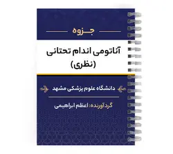 آناتومی تحتانی (نظری) | پزشک آموز با بیش از 2000 جزوه آموزشی