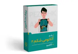 پکیج آموزش آناتومی شکم 2 | پزشک آموز با بیش از 1000 ویدیو آموزشی