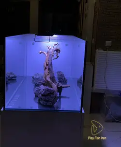 اکواریوم سامپ دار(اور فلو بغل) 120*50*50