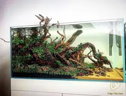 تانک ریملس 60*50*120