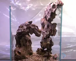 سنگ اکواریوم-(دراگون)dragon-stone