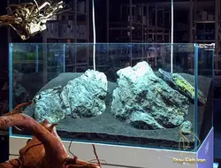 تانک ریملس 50*50*120