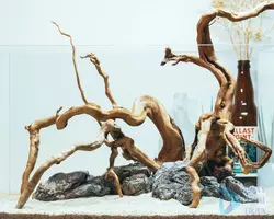 چوب اکواریوم-(ابنوس)