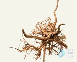 چوب اکواریوم-(ابنوس)