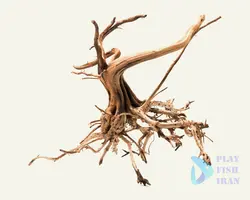 چوب اکواریوم-(ابنوس)