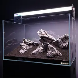تانک ریملس 40*40*80