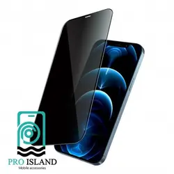 محافظ صفحه نمایش حریم شخصی گرین مدل Steve-Privacy مناسب برای گوشی موبایل اپل iPhone 12 Pro Max - پرو آیلند