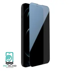 محافظ صفحه نمایش حریم شخصی نیلکین مدل Guardian مناسب برای گوشی موبایل اپل IPhone 13 Pro Max - پرو آیلند