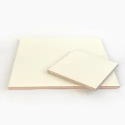 کاشی سرامیکی طرح کاکتوس - کد TI0811022 - پوشین