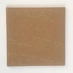 کاشی سرامیکی طرح کاکتوس - کد TI0811022 - پوشین