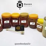 انواع عسل | کوین بیزلند