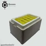 طبق کندوچه فومی