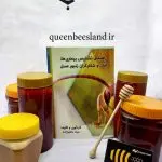 کتاب راهنمای تشخیص بیماری ها،آفات و شکارگران زنبور عسل
