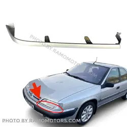 ابرویی چراغ زانتیا نقره‌ای