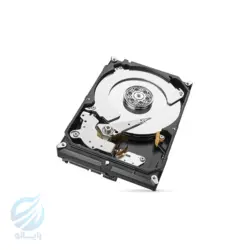 هارد دیسک سیگیت SkyHawk 2TB