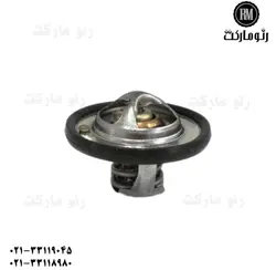 ترموستات هوزینگ فلوئنس - رنو مارکت