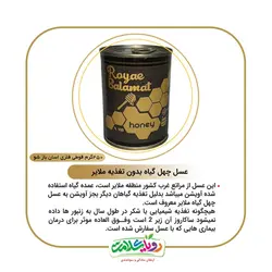 عسل آویشن(چهل گیاه) ملایر بدون تغذیه، 450گرم قوطی فلزی اسان باز شو