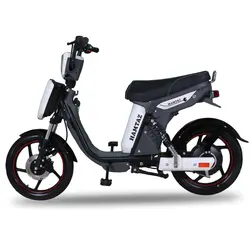 موتور برقی همتاز اسیدی مدل پدالی 800 وات