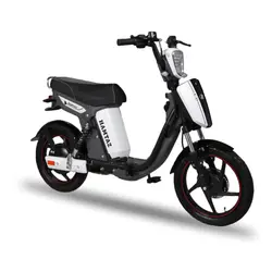 موتور برقی همتاز اسیدی مدل پدالی 800 وات