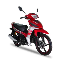 موتور بنزینی همتاز PANIK 125