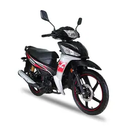 موتور بنزینی همتاز PANIK 125