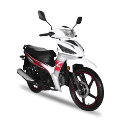 موتور بنزینی همتاز PANIK 125