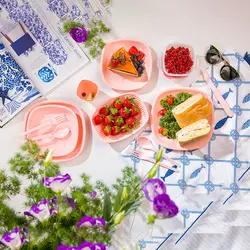 سرویس مسافرتی 60 پارچه 6 نفره الوان لیمون(4)/106 | صدف کالا (فروشگاه بزرگ صدف)