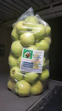 سیب آبگیری