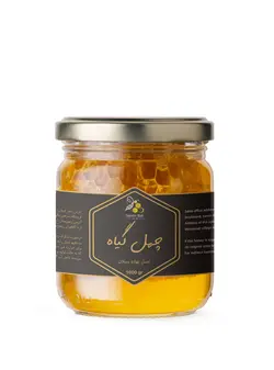 عسل چهل گیاه سبلان باموم و شهد(یک کیلوگرم)