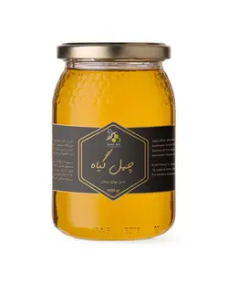 عسل چهل گیاه سبلان بدون موم(یک کیلوگرم)