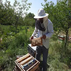 عسل چهل گیاه سبلان بدون موم(یک کیلوگرم)