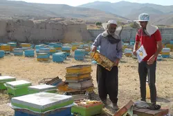 عسل گون سبلان بدوم موم(یک کیلوگرم)