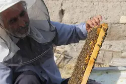 عسل گون سبلان باموم و شهد(یک کیلوگرم)