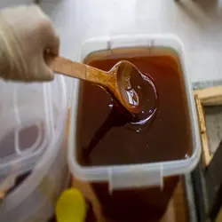 عسل آویشن سبلان بدون موم(یک کیلوگرم)