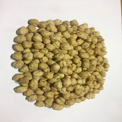 نخود
