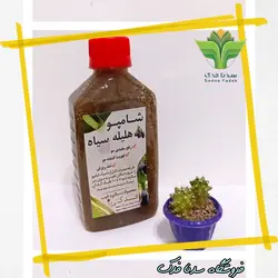 شامپو هلیله سیاه