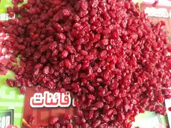 زعفران قائنات سه نگین - زرشک پفکی قائنات درجه دو | زعفران سه نگین قاینات