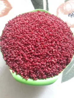 زعفران قائنات سه نگین - زرشک قاینات | زعفران سه نگین قاینات