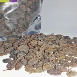 کشمش سایه خشک 1 کیلویی تاکستان - شانی شاپ