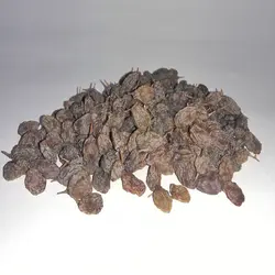 کشمش سایه خشک 1 کیلویی تاکستان - شانی شاپ