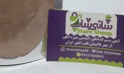 گرد (پودر-سماق) غوره عسگری 100 گرمی شانی شاپ - تاکستان - شانی شاپ