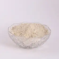 پودر پیاز