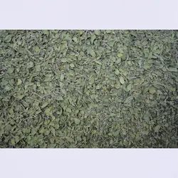 آویشن کوهی