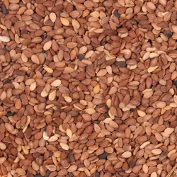 کنجد قهوه ای