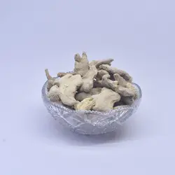 زنجبیل قلم